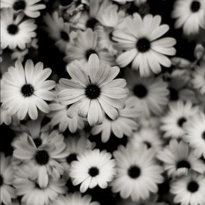 Meet your Posher, Angel